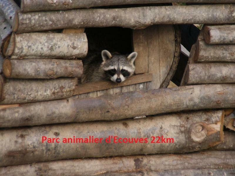 Haras De La Croix D'Argent Panzió Saint-Sauveur-de-Carrouges Kültér fotó